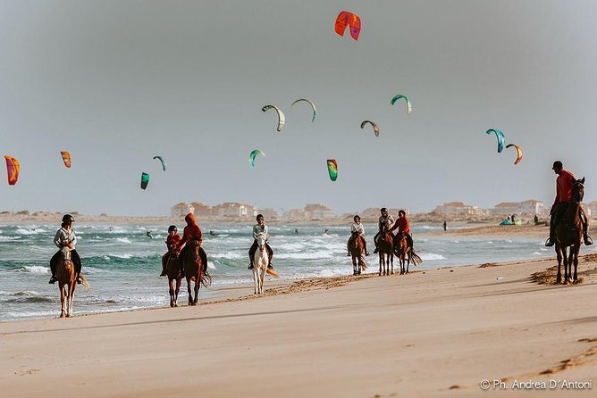 Horse Riding in Sal Island - Cabo Verde - The 1.5- and 2-Hour Options: Kite Beach and More Golden Sand