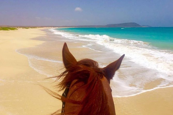 Horse Riding in Sal Island - Cabo Verde - Choosing Your Ride Length: Don’t Pay for Time You Won’t Enjoy
