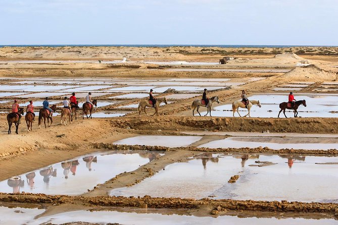 Horse Riding in Sal Island - Cabo Verde - How the Tour Handles Safety and Rider Matching
