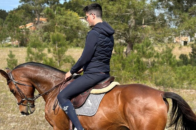 Horse Riding in the Countryside - Key highlights if you only skim this review