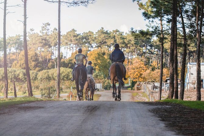 Horse Riding in the Countryside - Where you start: Rua Engenheiro Vasco Leonidas and arriving ready