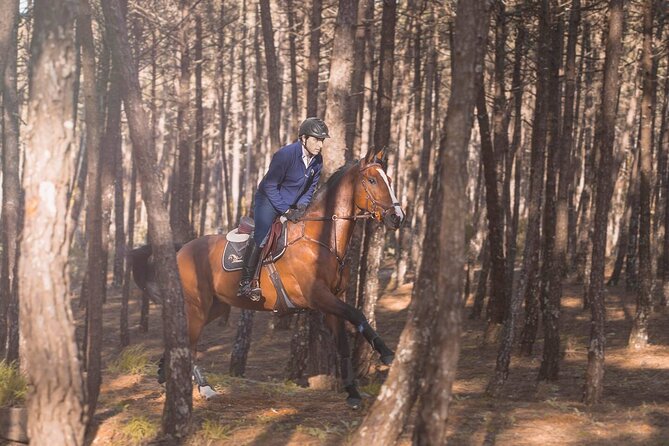 Horse Riding in the Countryside - How the group size changes your ride (max 6)