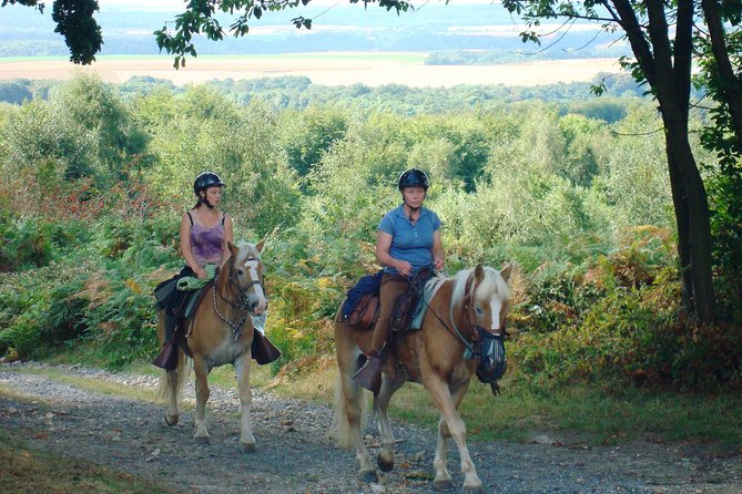 Horse riding in the French countryside between Paris and Lille - Key things to know before you go