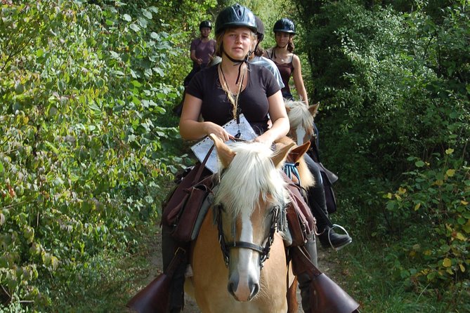 Horse riding in the French countryside between Paris and Lille - Price and value: what $84.11 really includes