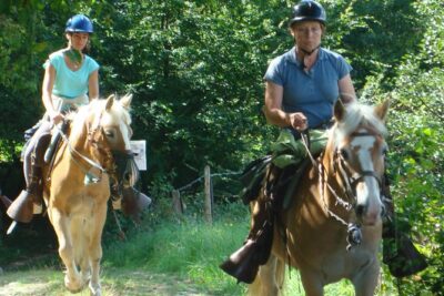 Horse riding in the French countryside between Paris and Lille - The 45-minute horse intro: grooming, tack, and comfort first