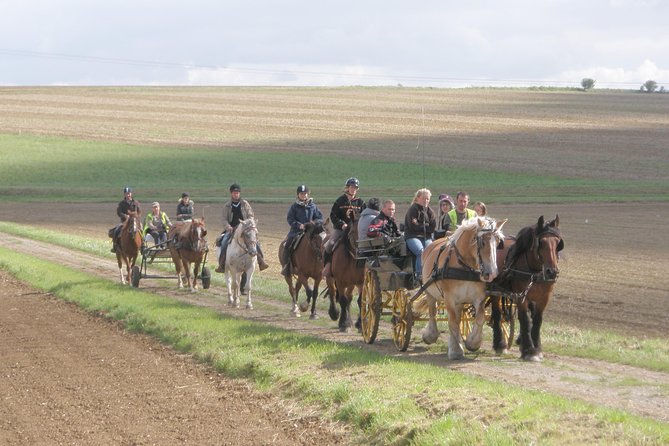 Horse riding in the French countryside between Paris and Lille - Timing, weather, and that rural-phone reality