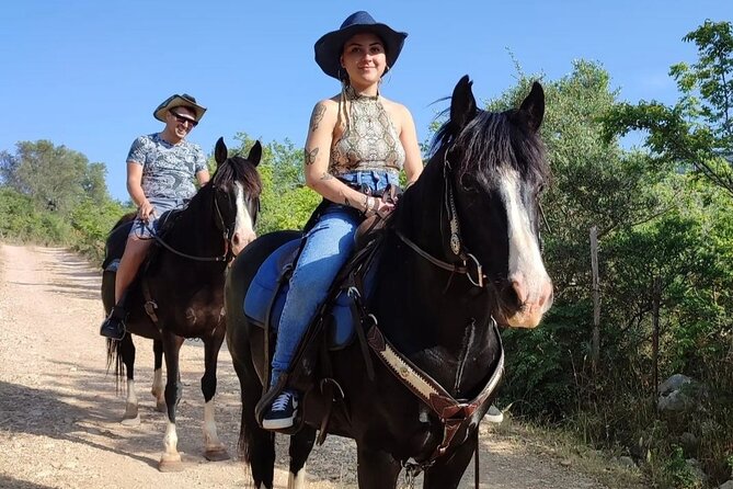 Horse riding in the Gargano National Park - Horseback in Gargano: What You’re Really Booking