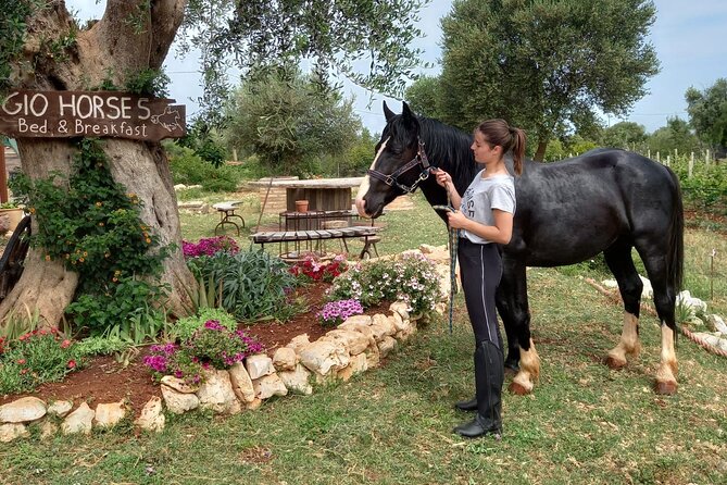 Horse riding in the Gargano National Park - Gio Horses Ranch to the Trails Near San Nicandro Garganico