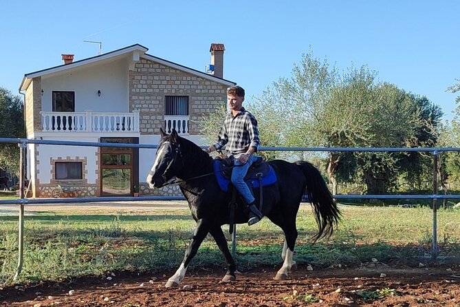 Horse riding in the Gargano National Park - Duration and Expectations: What an Hour in the Gargano Really Means
