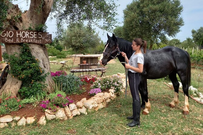 Horse riding in the Gargano National Park - Price and Value: Is $51.59 Worth It?