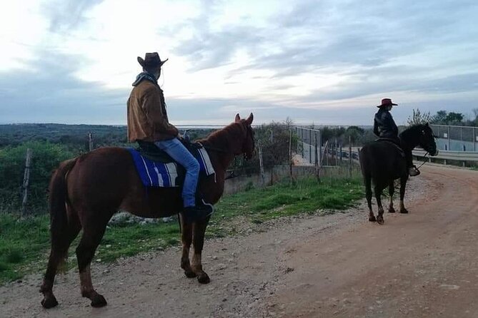 Horse riding in the Gargano National Park - Who Should Book This Horse Ride in the Gargano