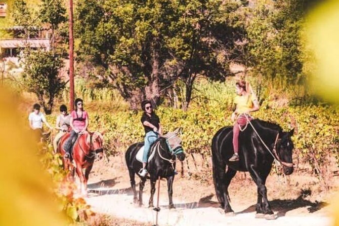 Horse riding in the vineyards of Grimaud + wine tasting - Key Points You’ll Care About