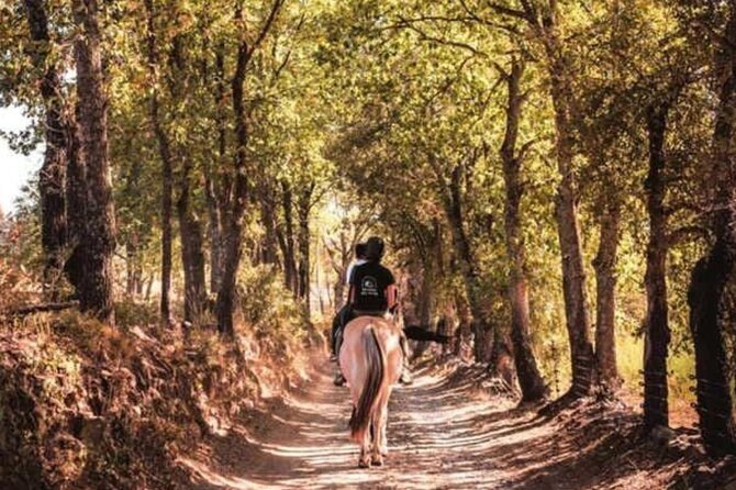 Horse riding in the vineyards of Grimaud + wine tasting - Horseback Through Grimaud’s Vineyards and the Maures Forest
