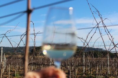 Horse riding in the vineyards of Grimaud + wine tasting - Getting Ready at the Ranch: Meet Point and What’s Actually Provided