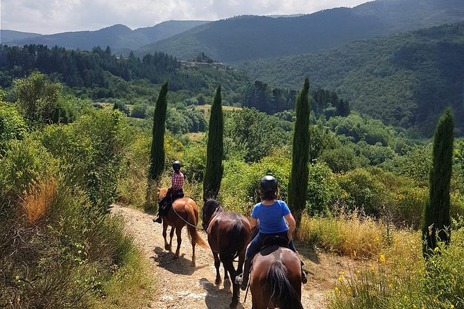 Horse Riding in Tuscany for Experienced Riders: Full-day Trail Ride - Key Highlights You’ll Care About