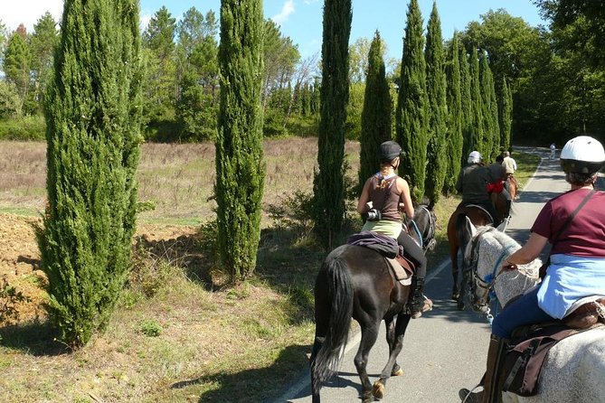 Horse Riding in Tuscany for Experienced Riders: Full-day Trail Ride - Meeting at 9:00 in Montieri: Getting Started Smoothly