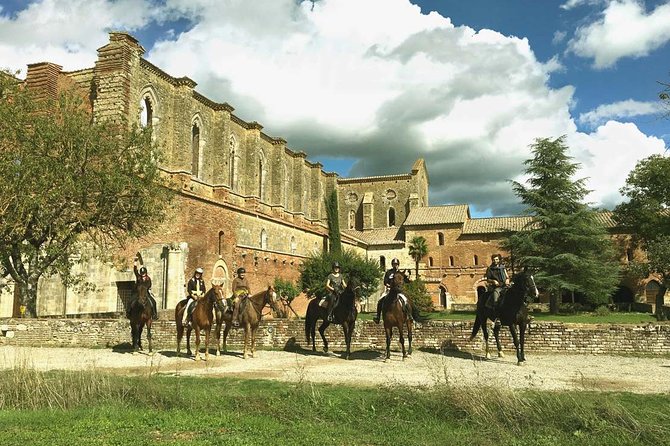 Horse Riding in Tuscany for Experienced Riders: Full-day Trail Ride - What You’ll See in Maremma Toscana: Woods, Rivers, Villages, and Meadows