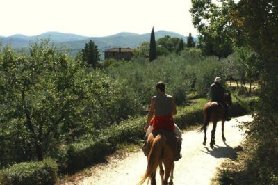 Horse Riding in Tuscany for Experienced Riders: Full-day Trail Ride - The Saddle Plan: 4–5 Hours of Riding With Trot and Canter Chances