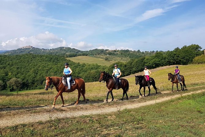 Horse Riding in Tuscany for Experienced Riders: Full-day Trail Ride - Picnic Lunch in the Hills: Delicious, but Plan for the Pause