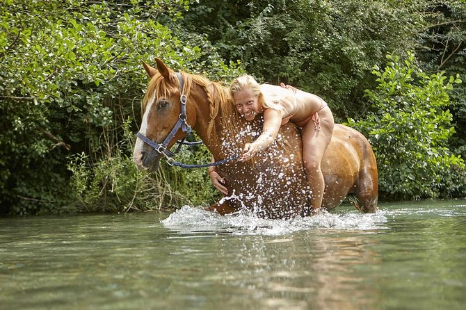Horse Riding in Tuscany for Experienced Riders: Full-day Trail Ride - Price and Value: Does $252.86 Make Sense?