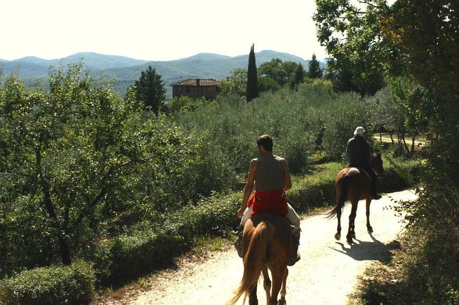 Horse Riding in Tuscany for Experienced Riders: Full-day Trail Ride - The Saddle Plan: 4–5 Hours of Riding With Trot and Canter Chances