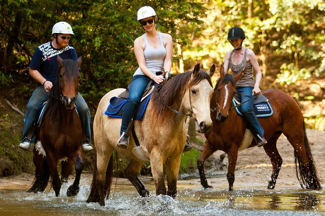 Horse Riding, Koalas & Kangaroos - Wild Australia: Private Tour - Key Things I’d Focus On Before You Go