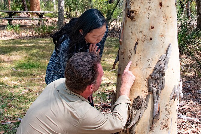 Horse Riding, Koalas & Kangaroos - Wild Australia: Private Tour - Berowra Valley Bushwalk: Aboriginal Carvings in a Guided Nature Stroll