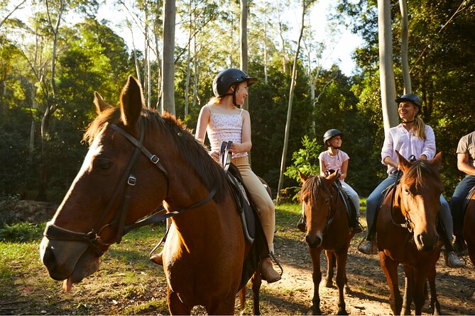 Horse Riding, Koalas & Kangaroos - Wild Australia: Private Tour - Glenworth Valley Horse Riding: The Main Event (And the Limits to Know)