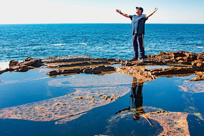 Horse Riding, Koalas & Kangaroos - Wild Australia: Private Tour - Warrah Lookout: A Short Stop With a Very Specific Wildlife Payoff