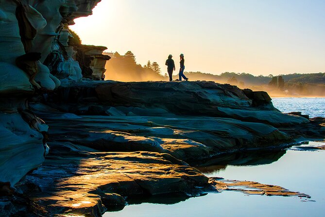 Horse Riding, Koalas & Kangaroos - Wild Australia: Private Tour - Beaches and Food Breaks: Wamberal, Avoca, and Optional Pearl Beach