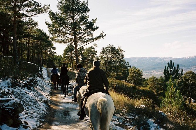 Horse Riding Madrid Natural Park - Key highlights you’ll feel from the start
