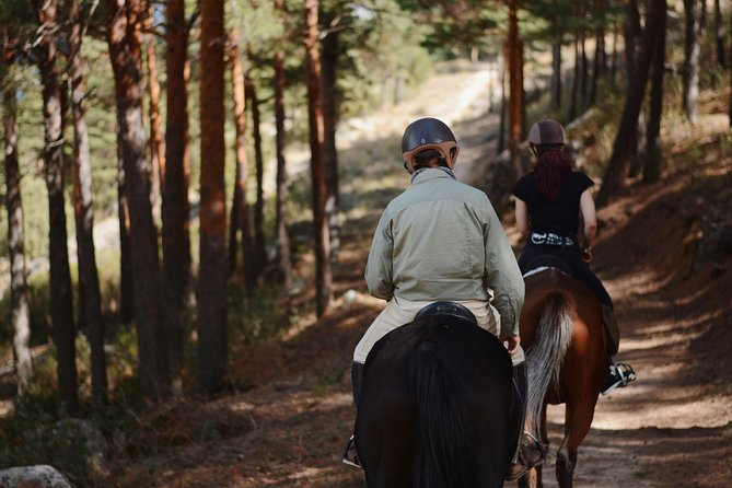 Horse Riding Madrid Natural Park - Sierra de Guadarrama: the easiest mountain fix from Madrid