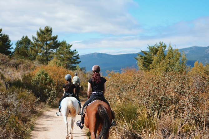 Horse Riding Madrid Natural Park - Getting there: Collado Mediano and the public-transport puzzle