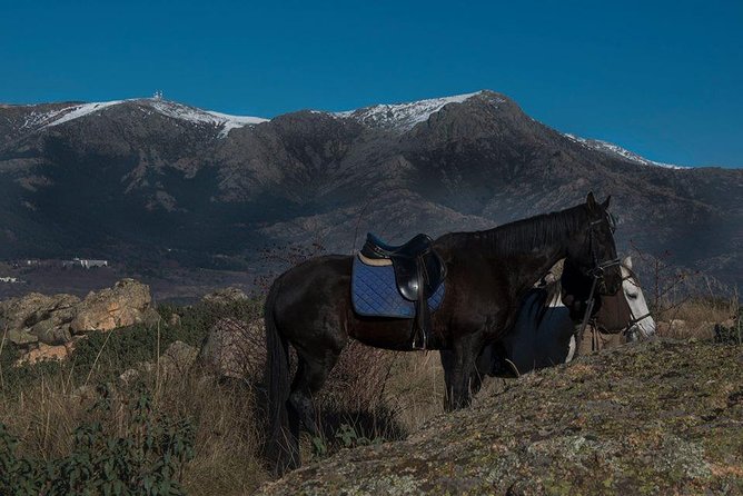 Horse Riding Madrid Natural Park - FAQ