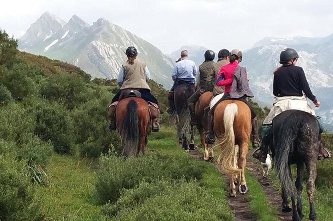 Horse Riding Madrid Natural Park (long Trip) - Key details that matter before you book