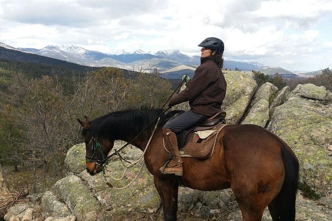 Horse Riding Madrid Natural Park - Meet your guide and learn the riding basics the practical way