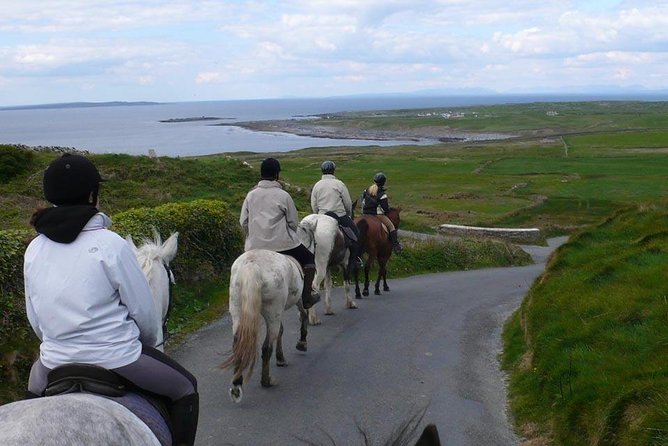 Horse riding - Mountain Trail. Lisdoonvarna, Co Clare. Guided. 2 hours. - Key things to know before you go
