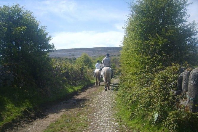 Horse riding - Mountain Trail. Lisdoonvarna, Co Clare. Guided. 2 hours. - The 2-hour ride: Burren outskirts, then hills above the Atlantic