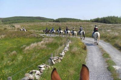 Horse riding - Mountain Trail. Lisdoonvarna, Co Clare. Guided. 2 hours. - The guides and the horse matching that make it feel personal