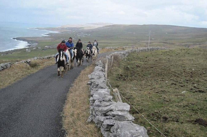 Horse riding - Mountain Trail. Lisdoonvarna, Co Clare. Guided. 2 hours. - Weather, fitness, and the 95 kg rider limit