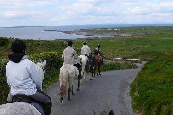 Horse riding - Mountain Trail. Lisdoonvarna, Co Clare. Guided. 2 hours. - Should you book this Mountain Trail ride?