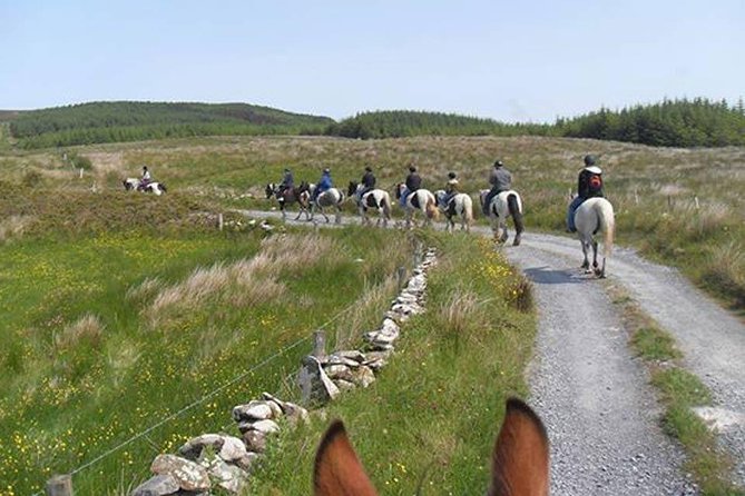Horse riding - Mountain Trail. Lisdoonvarna, Co Clare. Guided. 2 hours. - The guides and the horse matching that make it feel personal