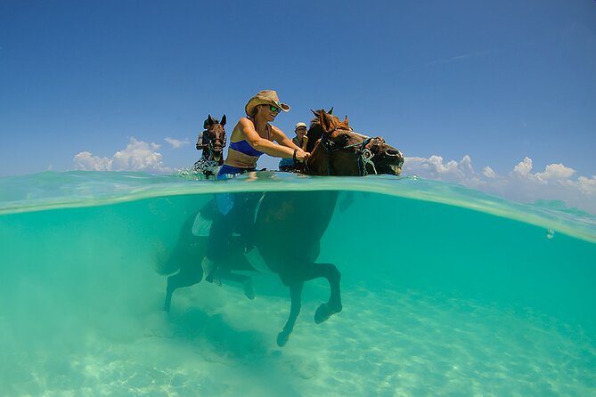 Horse Riding on Hurghada Desert and Beach - The 1-hour horse ride: desert sand plus Red Sea shoreline