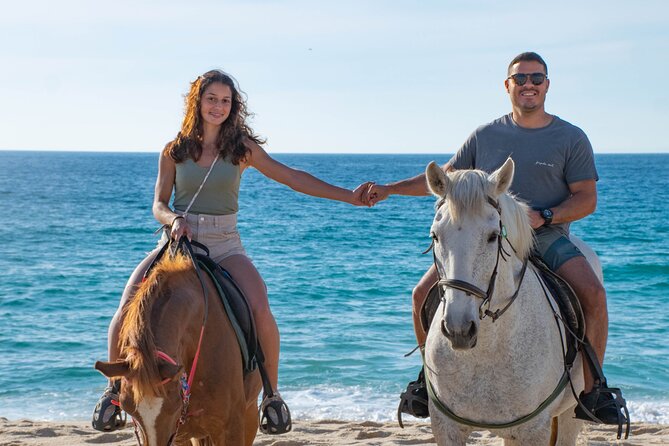 Horse Riding on Melides Beach - A 2-Hour Forest-to-Beach Ride in Melides