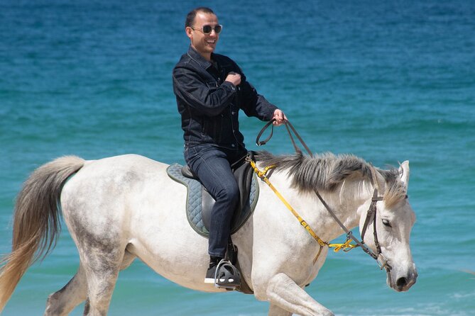 Horse Riding on Melides Beach - Praia de Melides: Why the Sand Dictates the Speed