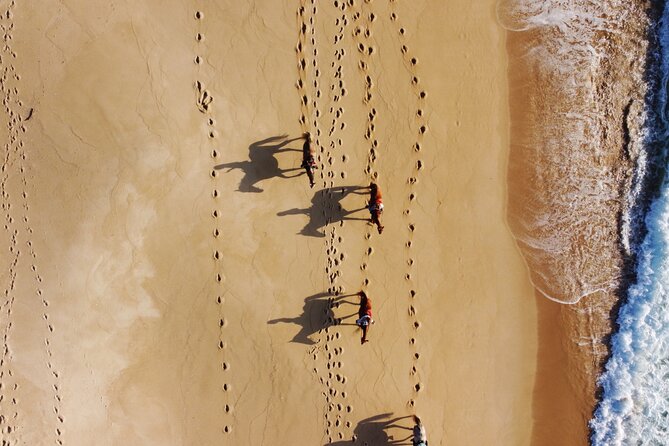 Horse Riding on Melides Beach - Horses, Safety, and the Instructor’s Role