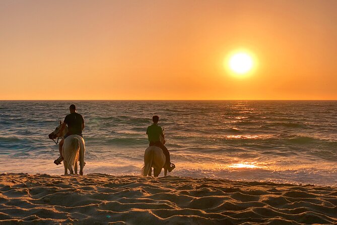 Horse Riding on Melides Beach - Entering the Atlantic Forest: Your First Hour