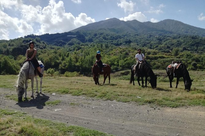 Horse Riding on Mount Vesuvius - The One-Hour Ride: Narrow Paths, Woods, and Volcanic Views