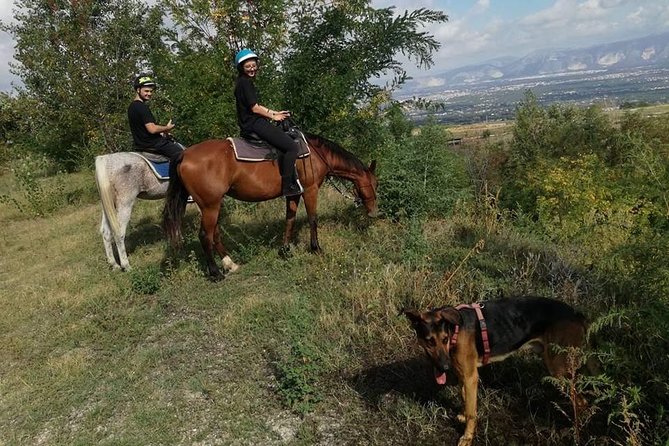 Horse Riding on Mount Vesuvius - Price and Value: Why $84.48 Works Here
