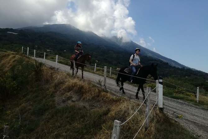 Horse Riding on Mount Vesuvius - Who Should Book This Vesuvius Horse Ride